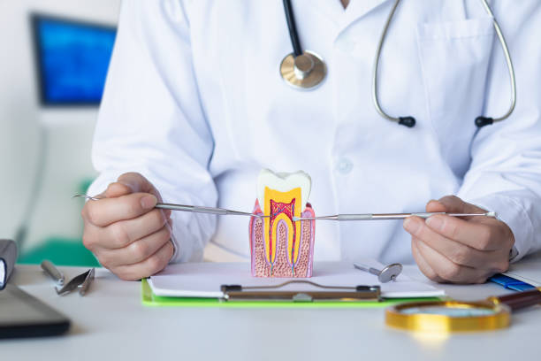 Best Emergency Broken Tooth Repair in Sartell, MN